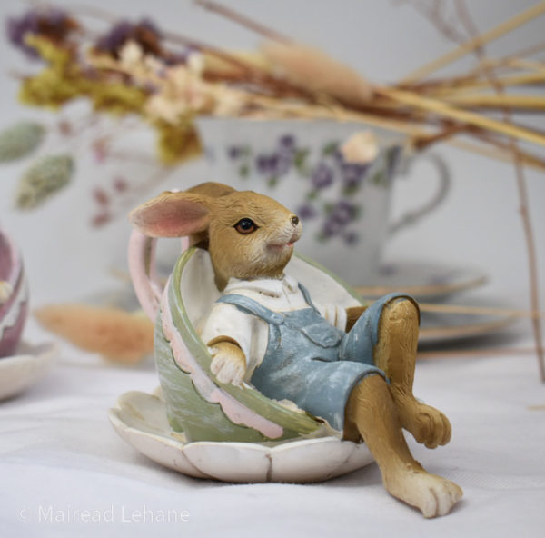 Rabbit in cup and saucer, cup on its side and bunny wearing dungarees