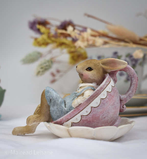 rabbit in a pink teacup and saucer on its side. Rabbit wearing dungarees