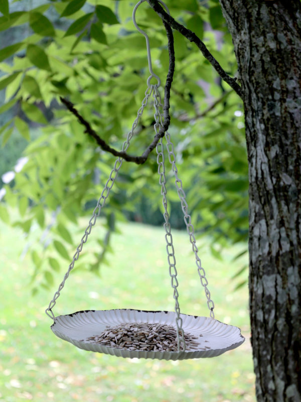 Bird feeder hanging from a tree with bird food