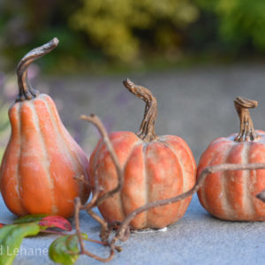 Orange pumpkin ornaments with twigs and lleaves