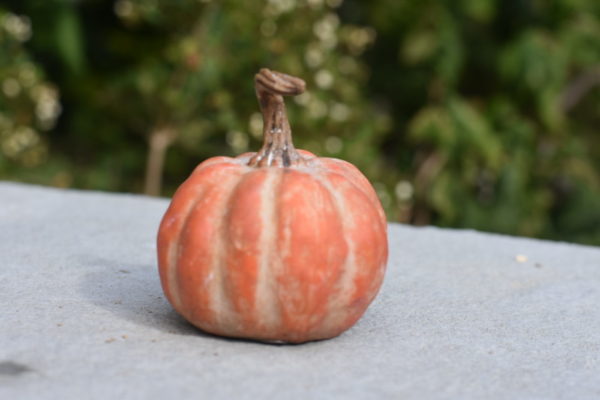 pumpkin ornament
