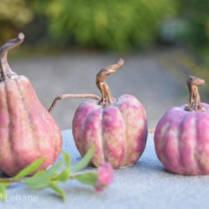pink pumpkin ornaments